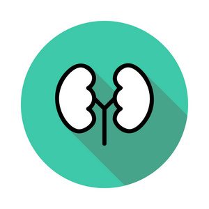 人体解剖学社区-人体解剖学版块-江西专升本-卷我吧论坛-江西专升本学习交流营地